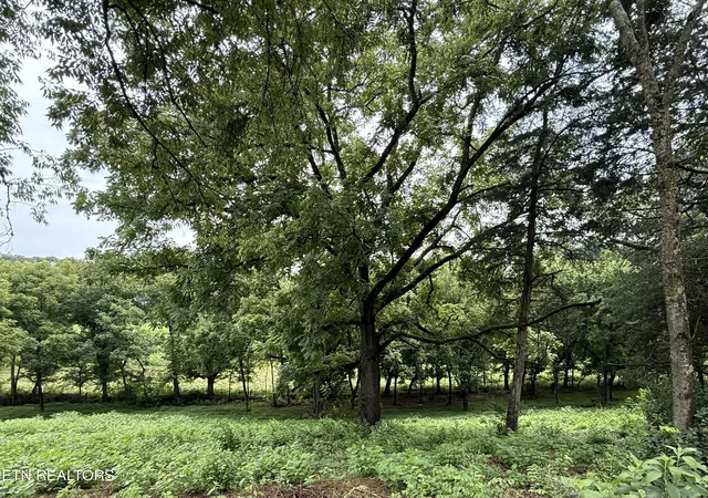 Photo 2 of Sale Pending at Lot 1 Mitchell Rd, New Market, TN 37820 | MLS# 1350415 | Listing updated on 2026-08-03