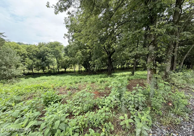 Photo 3 of Sale Pending at Lot 1 Mitchell Rd, New Market, TN 37820 | MLS# 1350415 | Listing updated on 2026-08-03
