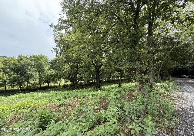 Photo 4 of Sale Pending at Lot 1 Mitchell Rd, New Market, TN 37820 | MLS# 1350415 | Listing updated on 2026-08-03
