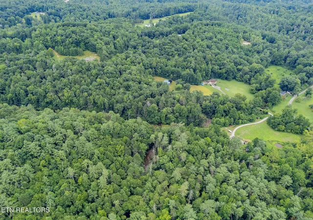 43rd image of 161 Adcock Hollow Rd, Harriman, TN 37748 | MLS# 1350462