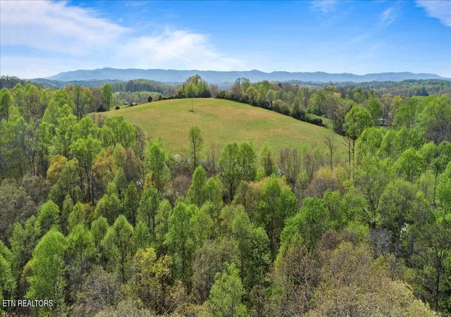 Photo 3 of Land for sale at Old Glory Ln, La Follette, TN 37766 | MLS# 1350466 | Listing updated on 2026-08-03