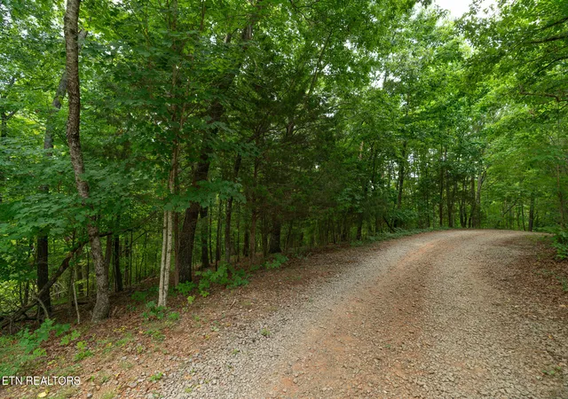 39th image of Old Citigo Road, Vonore, TN 37885 | MLS# 1350479
