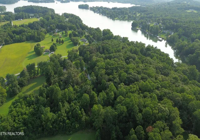 3rd image of 276 Oak Dr, Spring City, TN 37381 | MLS# 1350497