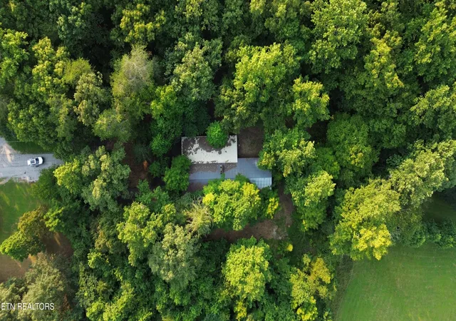 5th image of 276 Oak Dr, Spring City, TN 37381 | MLS# 1350497