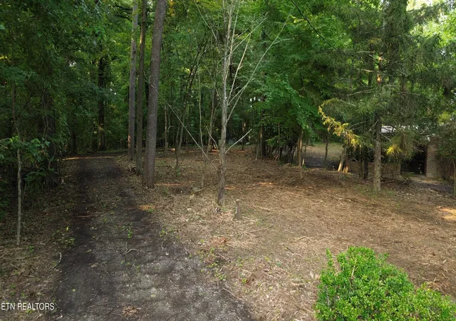 7th image of 276 Oak Dr, Spring City, TN 37381 | MLS# 1350497
