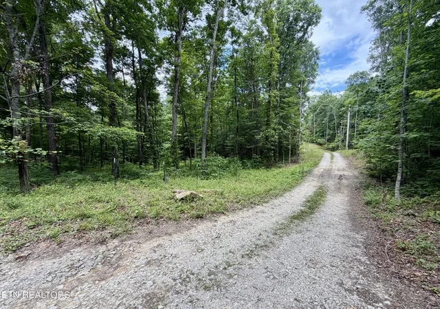 2nd image of 402 Paradise Ln, Deer Lodge, TN 37726 | MLS# 1350623
