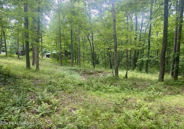 Photo 3 of Sale Pending at 402 Paradise Ln, Deer Lodge, TN 37726 | MLS# 1350623 | Listing updated on 2026-09-18