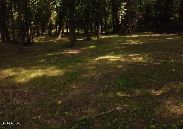 45th image of 1001 County Road 350, Sweetwater, TN 37874 | MLS# 1350518