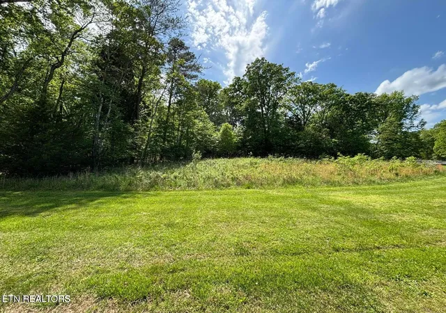 5th image of E Shore Dr, Rockwood, TN 37854 | MLS# 1351618