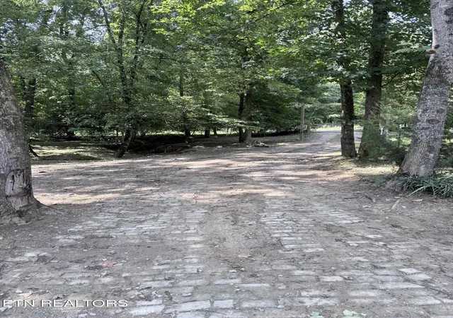 25th image of 145 Apple Tree Dr, Oliver Springs, TN 37840 | MLS# 1351606