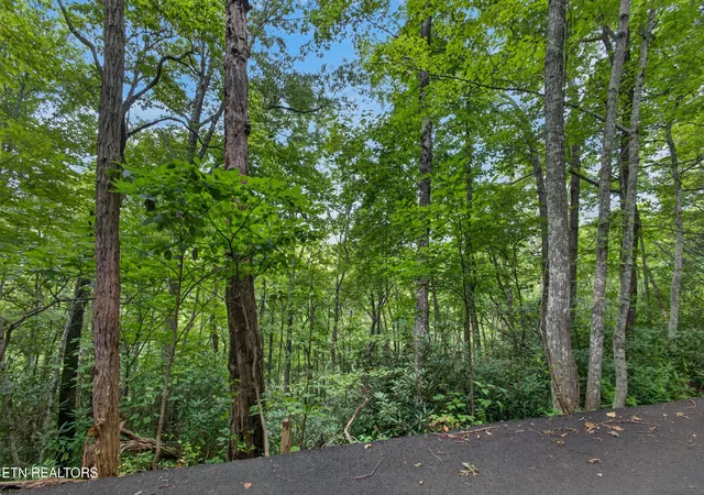 Photo 2 of Land for sale at Ownby Cir, Gatlinburg, TN 37738 | MLS# 1351169 | Listing updated on 2026-08-08