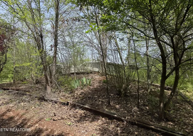 Photo 4 of Sale Pending at 947 N Old Grey Ridge Rd, Maryville, TN 37801 | MLS# 1350598 | Listing updated on 2026-08-31