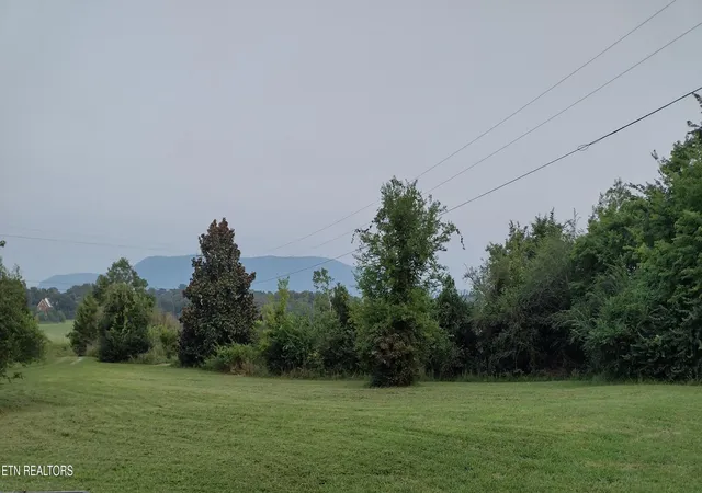 Photo 3 of Single family home for sale at 150 Larry Lynch Dr, Delano, TN 37325 | MLS# 1350565 | Listing updated on 2026-10-02