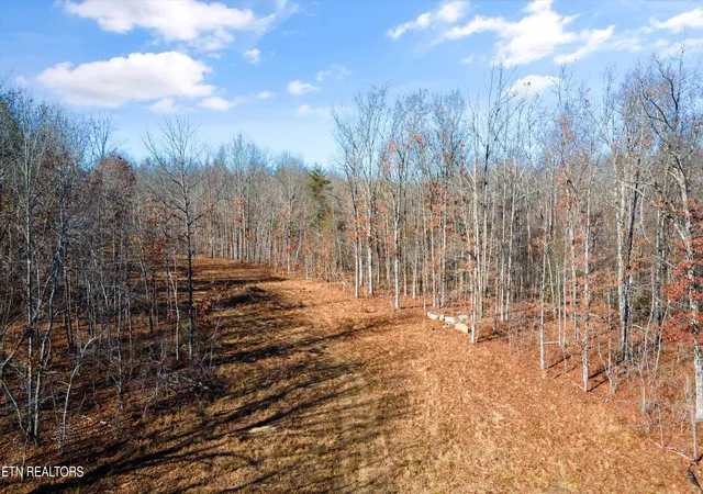 Photo 3 of Land for sale at 1149 Ac Off Stanley Hood Rd, Crossville, TN 38571 | MLS# 1350615 | Listing updated on 2026-08-04