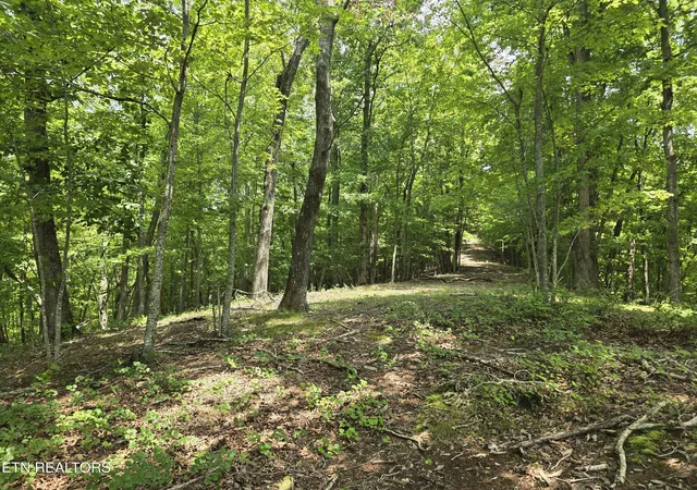 14th image of Lot 22 Twin Feathers Dr, Rockwood, TN 37854 | MLS# 1350745
