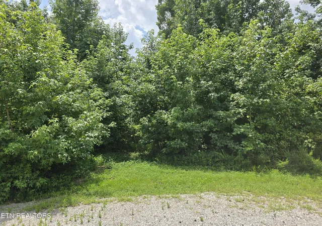 3rd image of Lot 22 Twin Feathers Dr, Rockwood, TN 37854 | MLS# 1350745