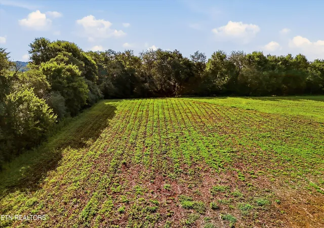 16th image of Lot 1 6000 Riverview Rd, Lenoir City, TN 37771 | MLS# 1350881