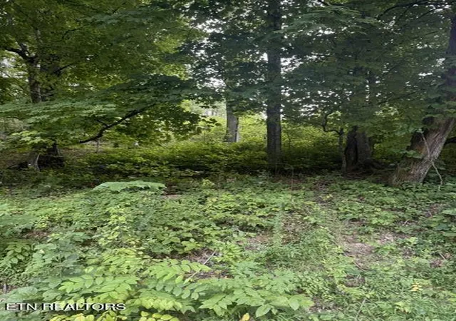1st image of Cave Creek Rd Off Rd, Loudon, TN 37774 | MLS# 1350639