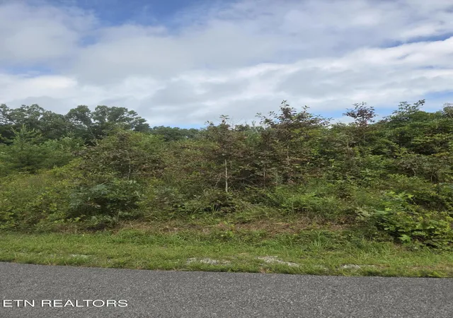 Photo 3 of Land for sale at Frost Crk Dr, Crossville, TN 38571 | MLS# 1350644 | Listing updated on 2026-09-02