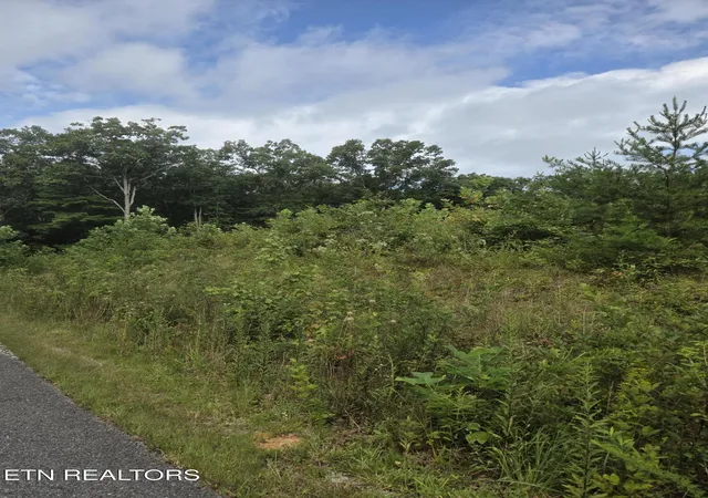 Photo 3 of Land for sale at Frost Crk Dr, Crossville, TN 38571 | MLS# 1350644 | Listing updated on 2026-09-02