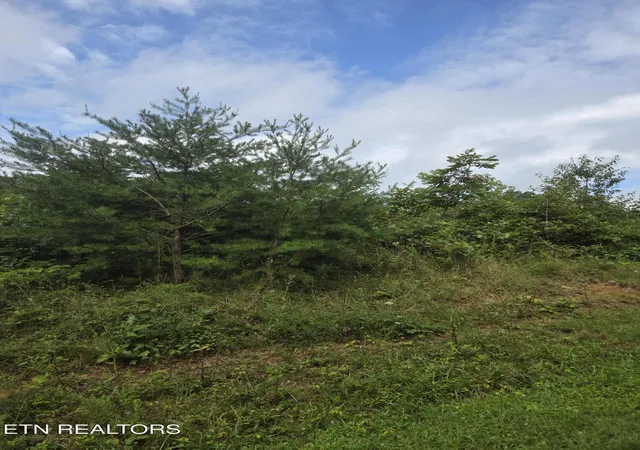 Photo 4 of Land for sale at Frost Crk Dr, Crossville, TN 38571 | MLS# 1350644 | Listing updated on 2026-09-02