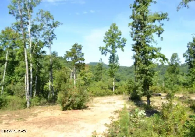 1st image of 985ac Rock Springs Rd, Celina, TN 38551 | MLS# 1350689