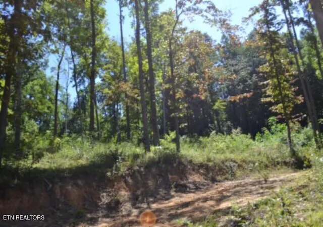 2nd image of 985ac Rock Springs Rd, Celina, TN 38551 | MLS# 1350689