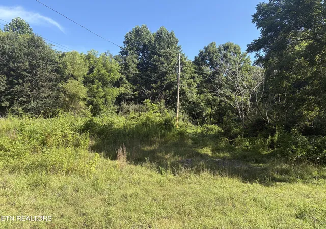 3rd image of 5739 Morgan Co Hwy, Lancing, TN 37770 | MLS# 1350715