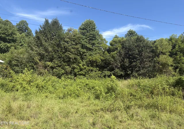 4th image of 5739 Morgan Co Hwy, Lancing, TN 37770 | MLS# 1350715