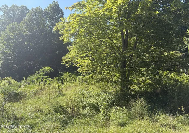 5th image of 5739 Morgan Co Hwy, Lancing, TN 37770 | MLS# 1350715