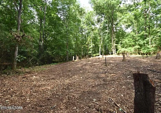 Photo 1 of Land for sale at 0 Early Rd #2A, Knoxville, TN 37922 | MLS# 1351023 | Listing updated on 2026-08-07