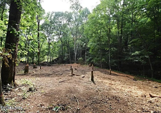Photo 3 of Land for sale at 0 Early Rd #2A, Knoxville, TN 37922 | MLS# 1351023 | Listing updated on 2026-08-07
