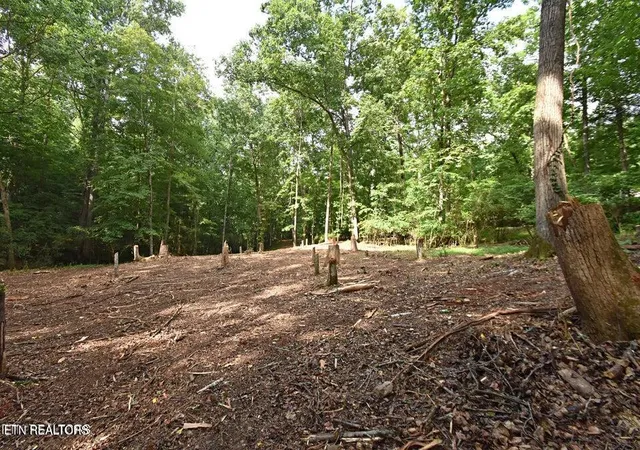 Photo 4 of Land for sale at 0 Early Rd #2A, Knoxville, TN 37922 | MLS# 1351023 | Listing updated on 2026-08-07