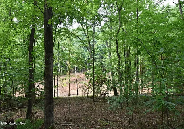 2nd image of 0 Early Rd #3, Knoxville, TN 37922 | MLS# 1351022