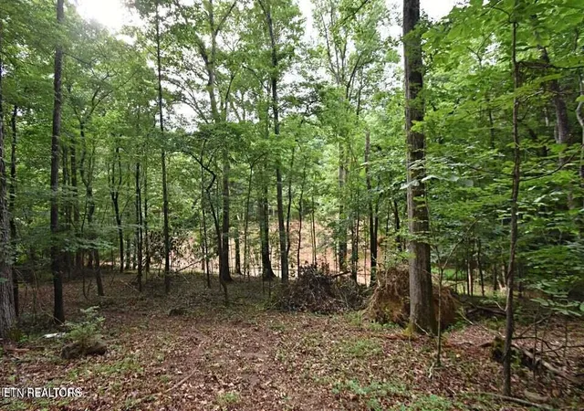 Photo 3 of Land for sale at 0 Early Rd #3, Knoxville, TN 37922 | MLS# 1351022 | Listing updated on 2026-08-07