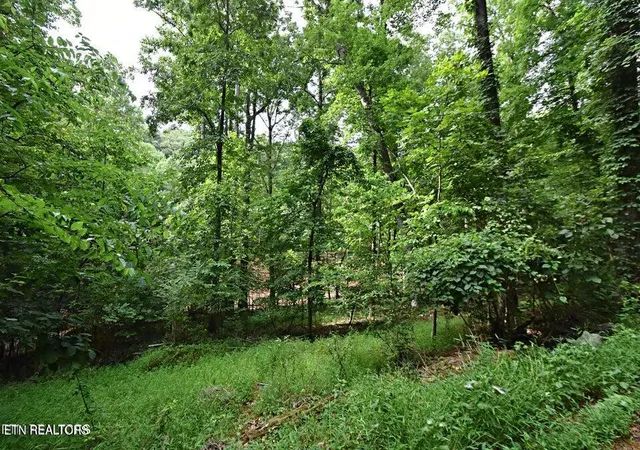 Photo 3 of Land for sale at 0 Early Rd #3, Knoxville, TN 37922 | MLS# 1351022 | Listing updated on 2026-08-07