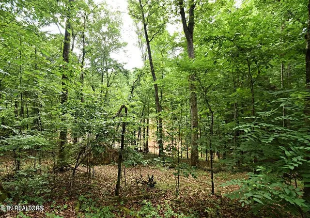 Photo 4 of Land for sale at 0 Early Rd #3, Knoxville, TN 37922 | MLS# 1351022 | Listing updated on 2026-08-07