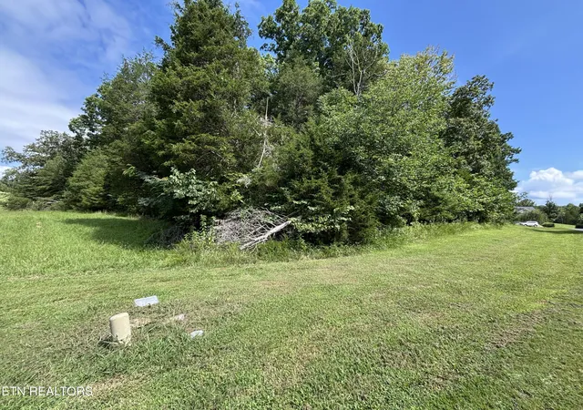 Photo 2 of Land for sale at Bay Shore Dr, Rockwood, TN 37854 | MLS# 1350787 | Listing updated on 2026-08-05