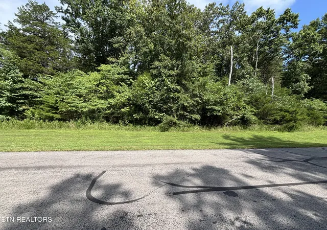 Photo 3 of Land for sale at Bay Shore Dr, Rockwood, TN 37854 | MLS# 1350787 | Listing updated on 2026-08-05