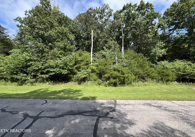 Photo 4 of Land for sale at Bay Shore Dr, Rockwood, TN 37854 | MLS# 1350787 | Listing updated on 2026-08-05