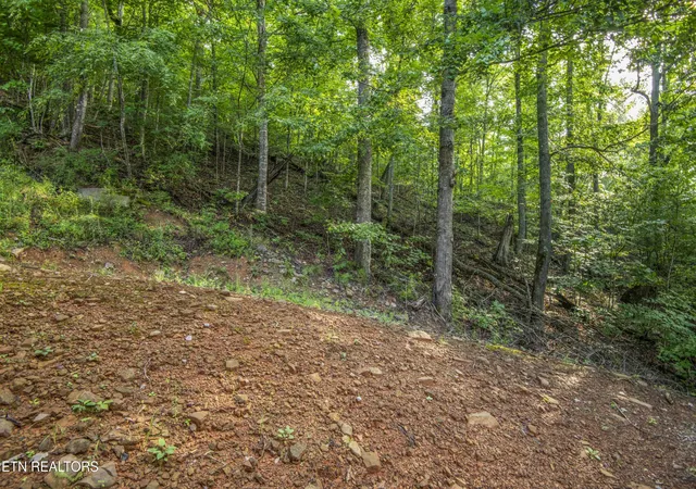 45th image of 150 Limestone Ln, New Tazewell, TN 37825 | MLS# 1350773