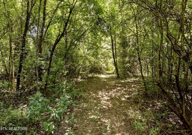 4th image of 289 Midway Dr, Oliver Springs, TN 37840 | MLS# 1351111
