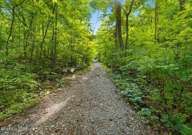 Photo 3 of Land for sale at 16750 Tn 95, Greenback, TN 37742 | MLS# 1351393 | Listing updated on 2026-08-11