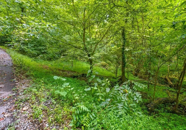 Photo 4 of Land for sale at 16750 Tn 95, Greenback, TN 37742 | MLS# 1351393 | Listing updated on 2026-08-11