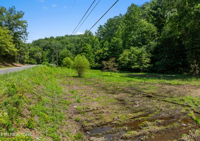 Photo 4 of Land for sale at Jones Cvs Rd, Sevierville, TN 37876 | MLS# 1351072 | Listing updated on 2026-08-10