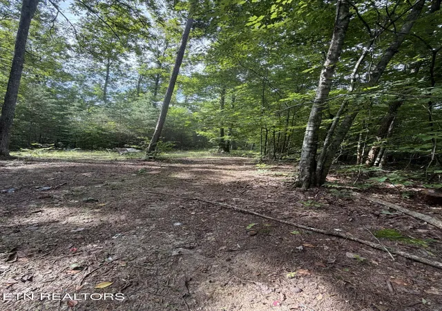 27th image of 2544 Hinds Creek Rd, Heiskell, TN 37754 | MLS# 1351102