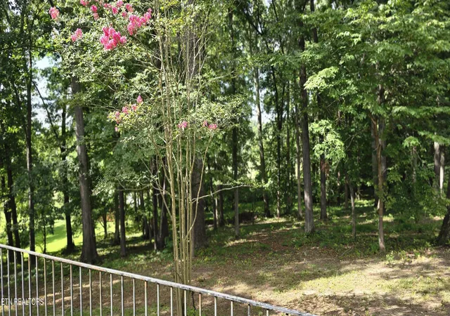 Photo 4 of Sale Pending at 9721 Asheville Hwy, Strawberry Plains, TN 37871 | MLS# 1350833 | Listing updated on 2026-09-24
