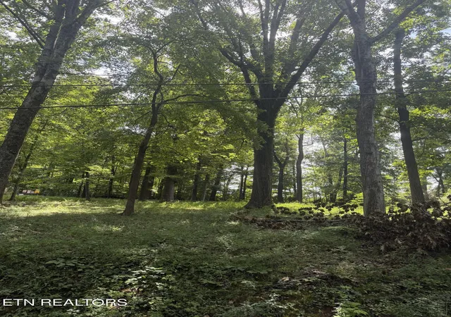 Photo 2 of Land for sale at 5000 Skyview Dr, Knoxville, TN 37917 | MLS# 1350907 | Listing updated on 2026-09-15
