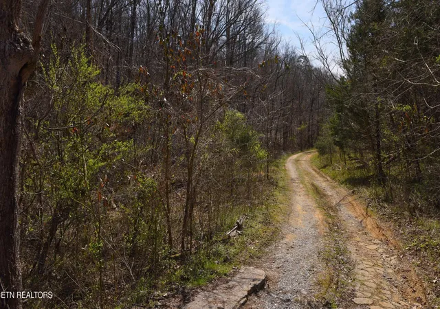 12th image of 912 Coolie King Rd, Kodak, TN 37764 | MLS# 1350882