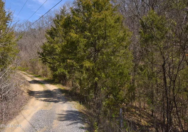 Photo 3 of Land for sale at 912 Coolie King Rd, Kodak, TN 37764 | MLS# 1350882 | Listing updated on 2026-08-06